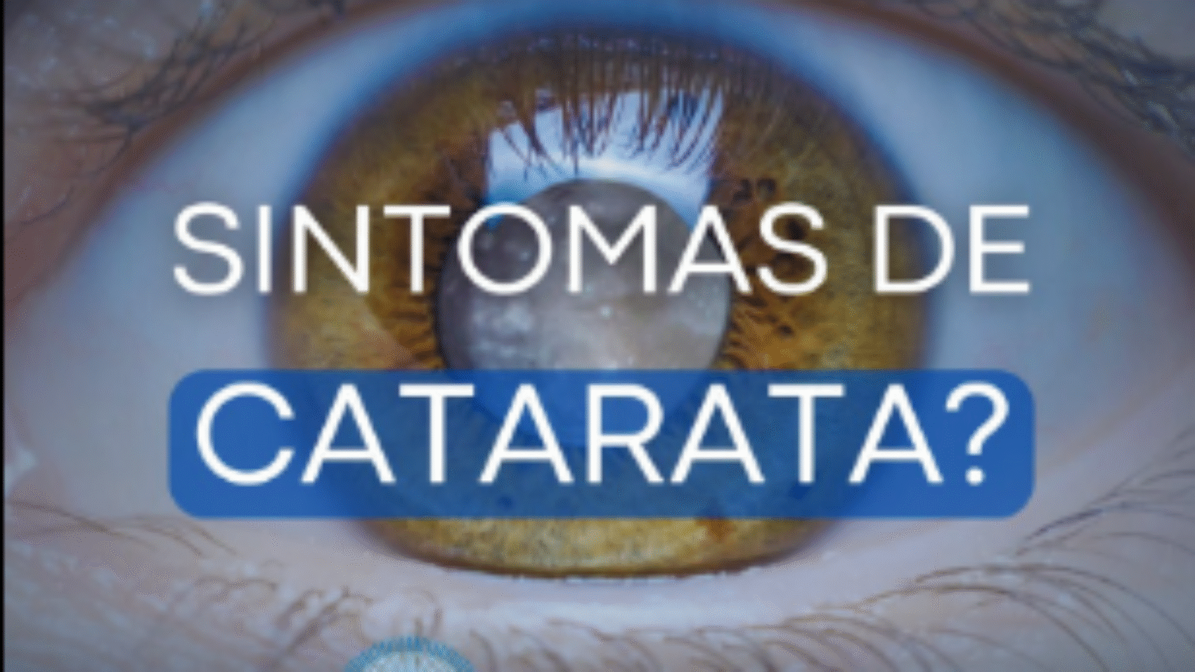 imagem_2025-07-04_151727128