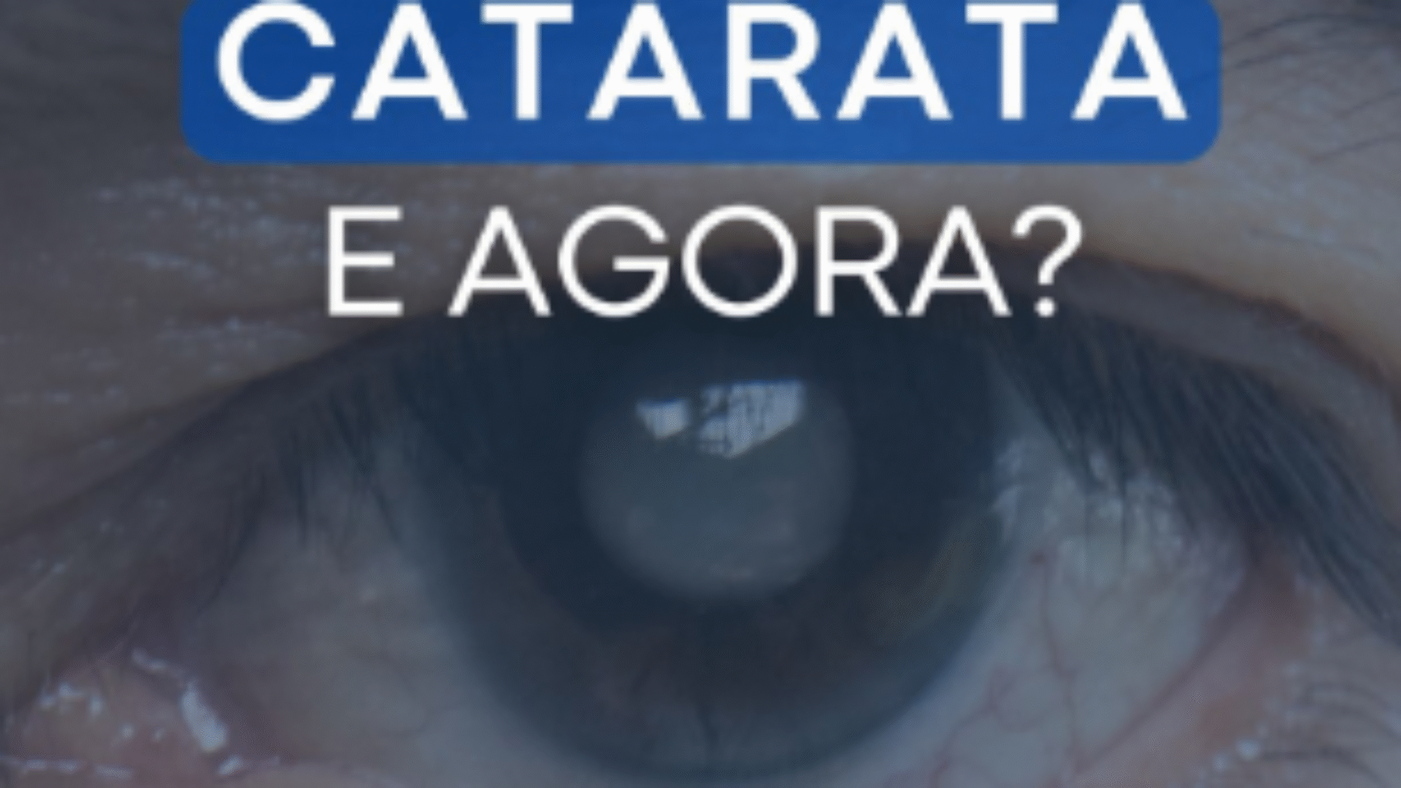 imagem_2025-07-04_152254517