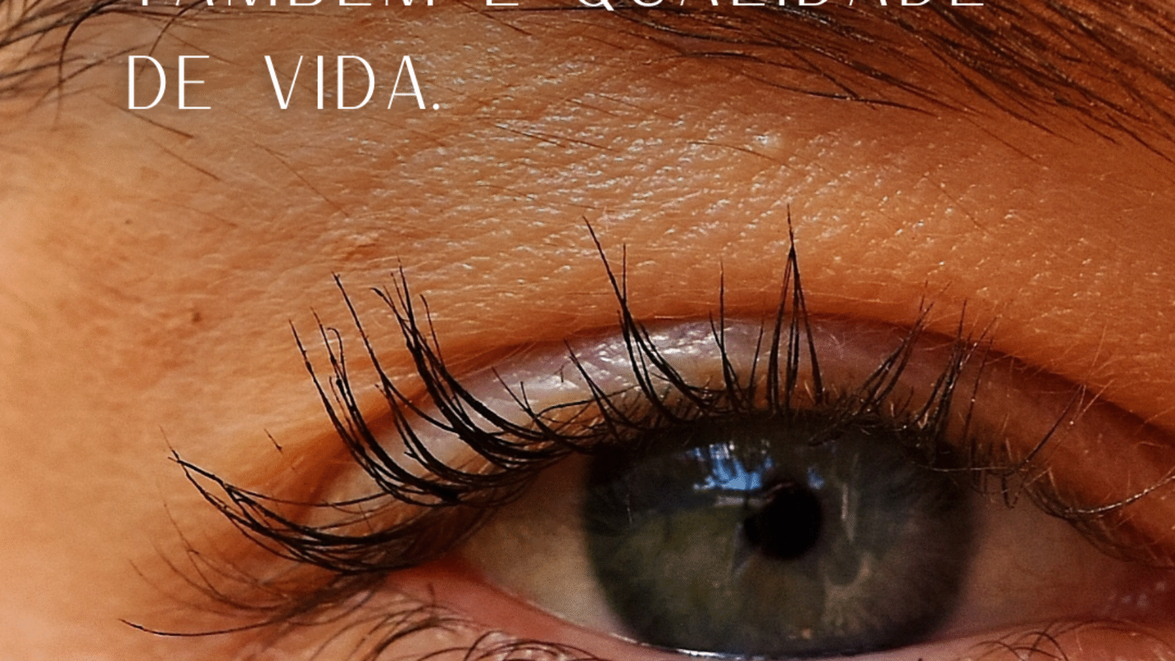 row-1-column-1 - 2025-07-24T170738.245