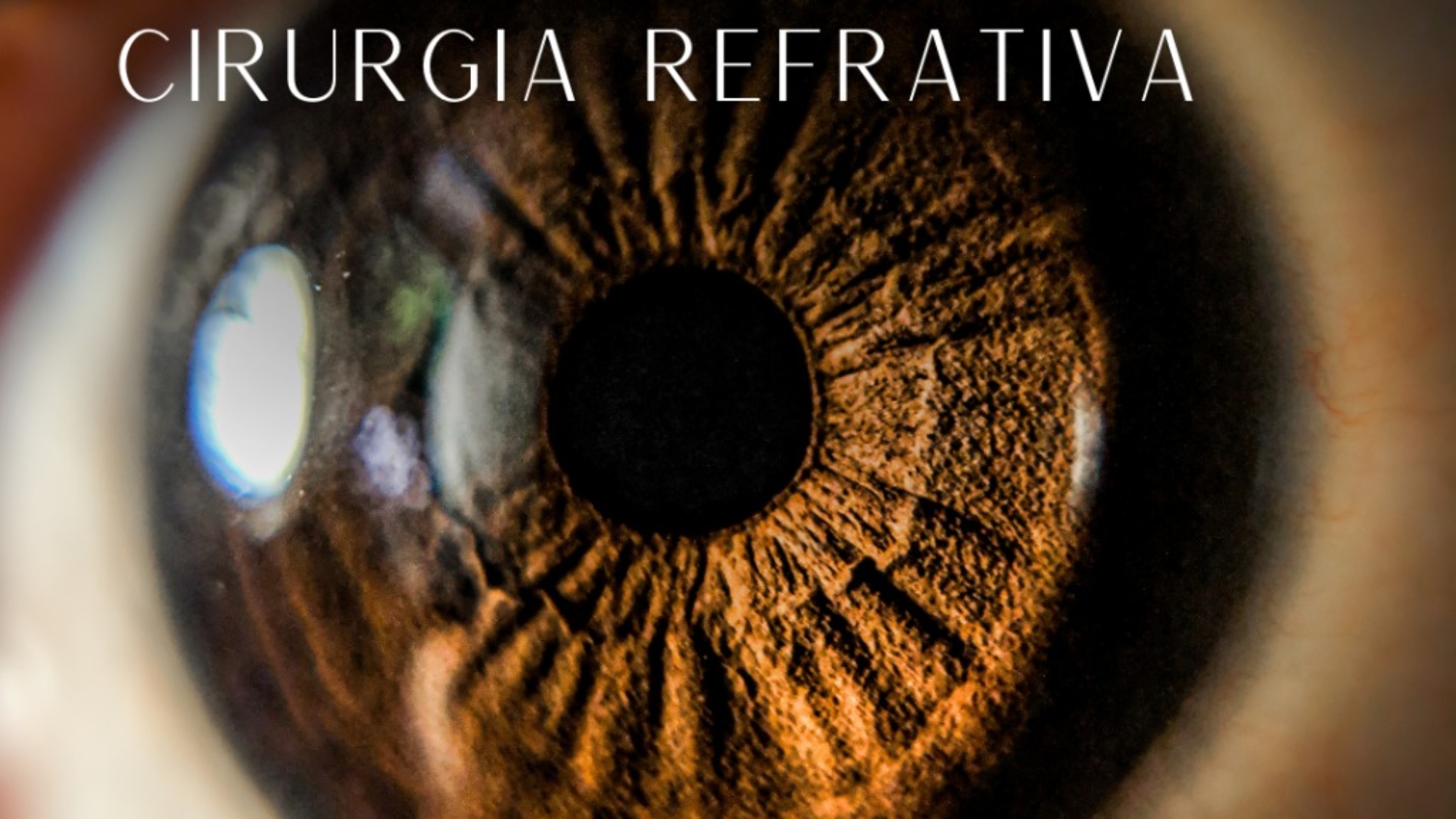 Imagem do WhatsApp de 2025-09-08 à(s) 17.24.28_be7df34e