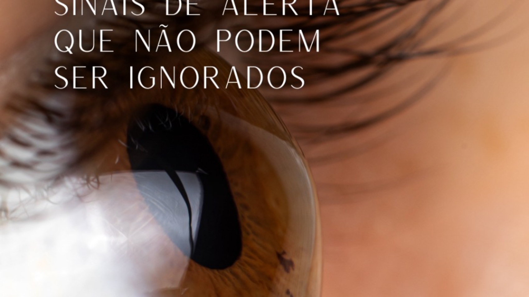 Imagem do WhatsApp de 2025-09-16 à(s) 16.52.18_dd0ba547