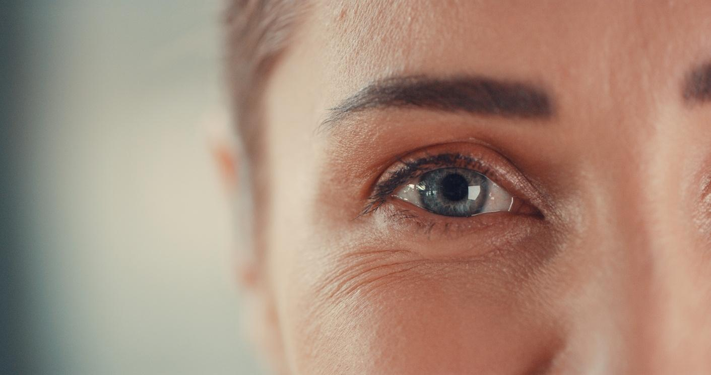 imagem_2025-11-07_154307309